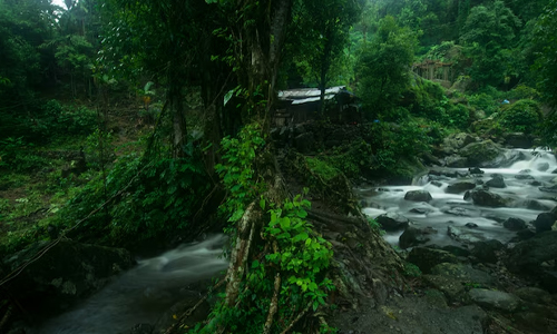  A picture of a river in Amazon