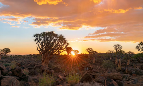 A picture of sunset in South Africa