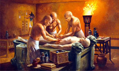 Removal of Internal Organs