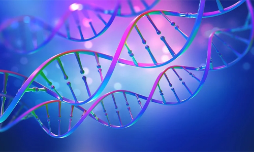 Genetic-Evolution