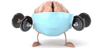 How Much Does the Human Brain Weigh?