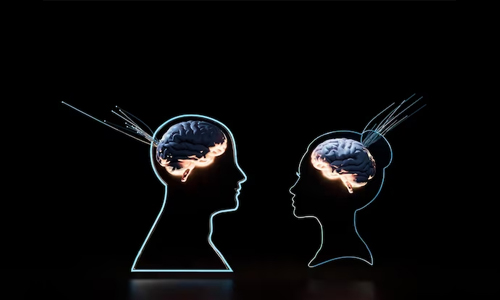 Human Brain Weight and Height