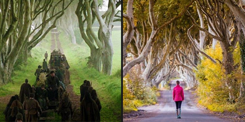 The King's Road