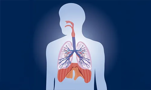 Weird Respiratory System Facts
