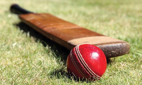 Cricket bats