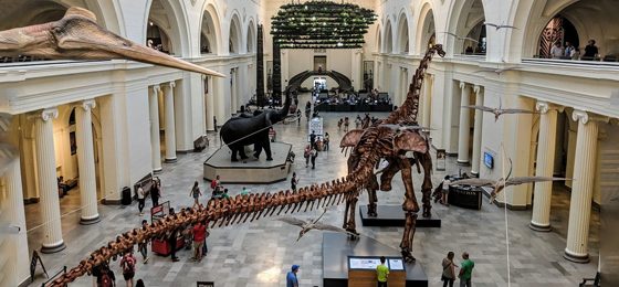 7 Must-See Museums around the World