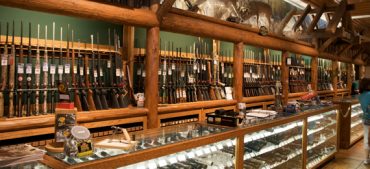 Guns in America