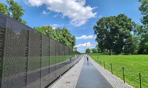 The Vietnam