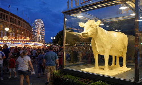 The famous Butter Cow at the Iowa State Fair displayed as a carved butter sculpture