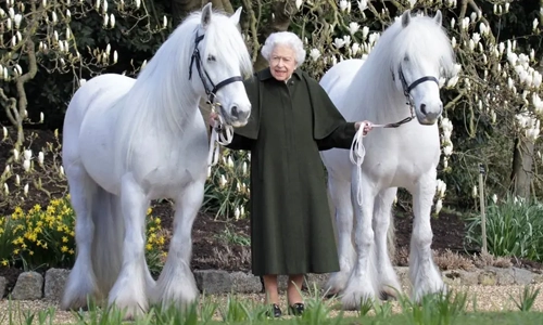A close-up portrait of Queen Elizabeth II with two horses, reflecting on her private, real birthday celebration in April.