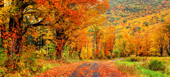 7 Best Places to See Fall Colors in the USA