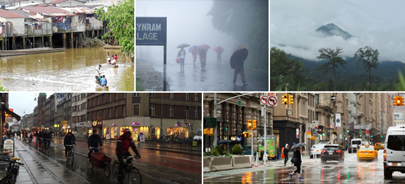 Do You Know Which City Has the Highest Rainfall?