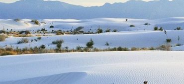 Interesting Facts about the White Sands National Monument You Must Know