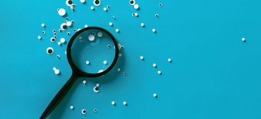 Are You Curious to Know What Did People Use before Google?