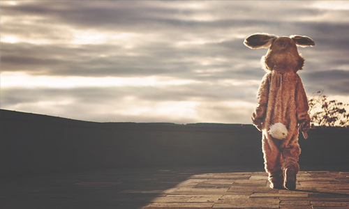  Shake Your Cottontail