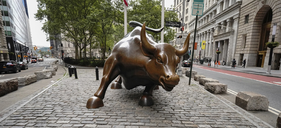 15 Not-So-Famous Charging Bull Facts