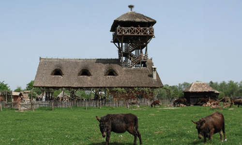 Zasavica-Special-Nature-Reserve