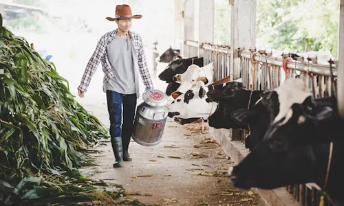  The Science Behind the Milk
