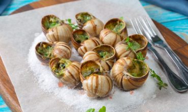 Uses of Snails 