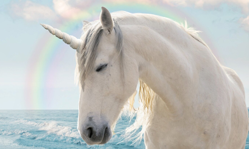Unicorn