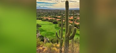 Take Our Ultimate Saguaro Cactus Facts Quiz Online