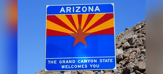 The Take Ultimate Arizona State Symbols Quiz