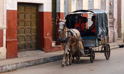 Clean Sidewalks with a Horse