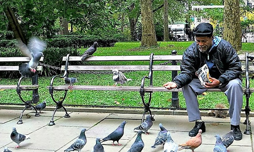 Feeding Pigeons in Park