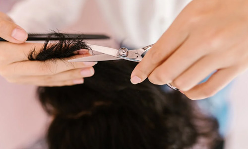 Cut Others Hair Without Any License