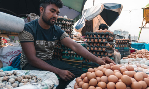 Sale of Eggs After 10 Pm