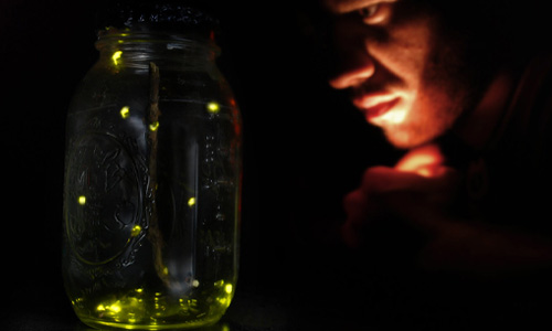 Catching Fireflies