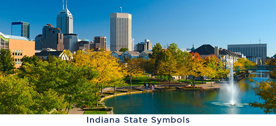 Can You Score 15/15 on Indiana State Symbols Quiz?