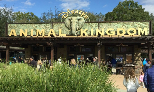 Disney’s-Animal-Kingdom