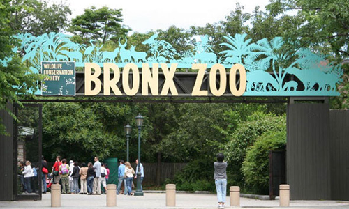 The-Bronx-Zoo