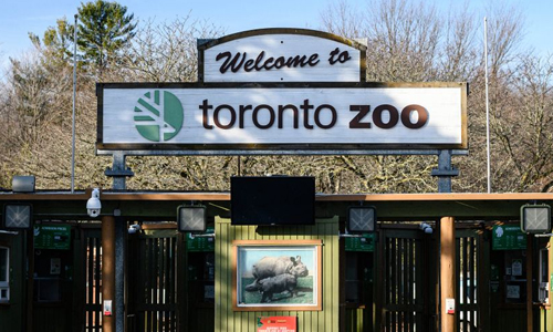 Toronto-Zoo