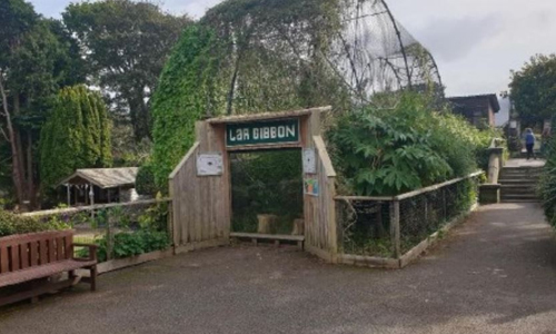 Welsh-Mountain-Zoo