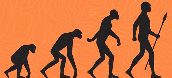 Did Humans Evolve from Monkeys? Nope and Here Are Why!