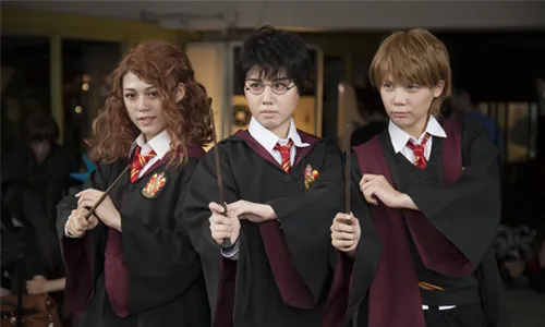 The Harry Potter Series