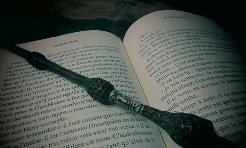 Magical Rules and World-Building Facts