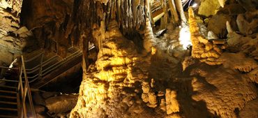 10 Interesting Facts About Mammoth Cave You Need to Know