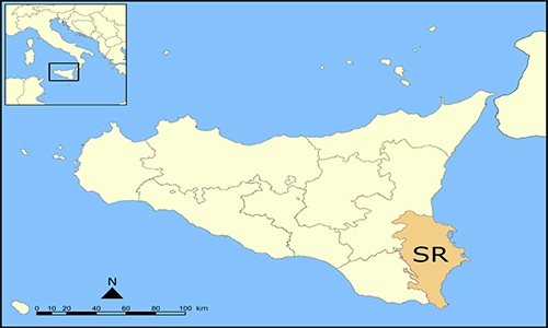 Syracuse Map