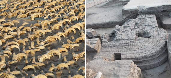 Archaeologists Discover 2000 Mummified Ram Skulls at the Rameses II Temple in Abydos