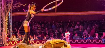 First Circus: Short History, Origin, and Facts