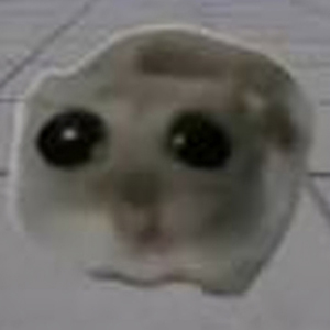 Sad-Hamster