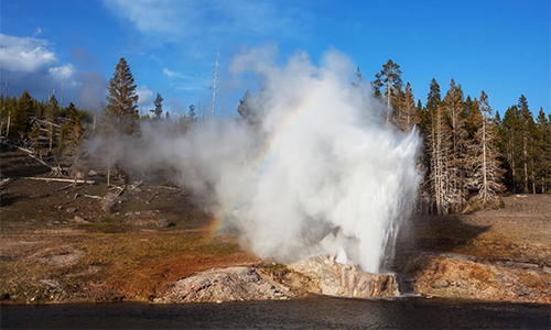 Geysers in Yellowstone