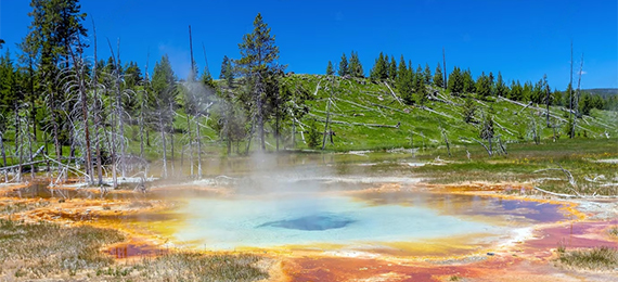 10 Things You Should Know About the Geysers in Yellowstone