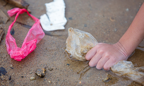 Sea turtles eating plastics