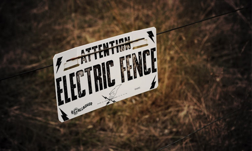 Canton prohibits electric fences