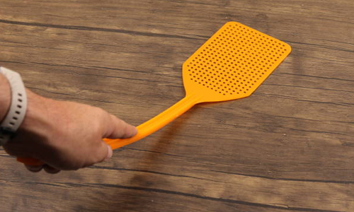 Fly-Swatter-in-Ohio