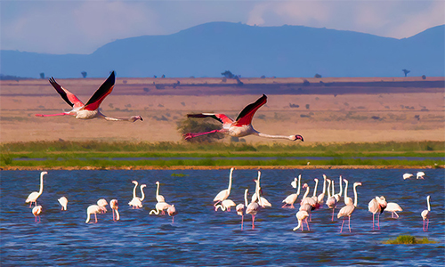 Kenya